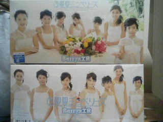 (3)ĉă~jx[YABerryzH[