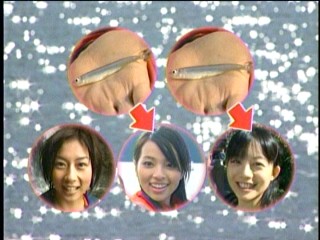TumC`K[4A舻