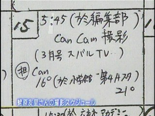 スタ☆メン19、蛯原友里