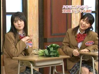 ハロモニ7、亀井絵里