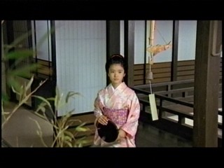 八州廻り 桑山十兵衛3、美山加恋