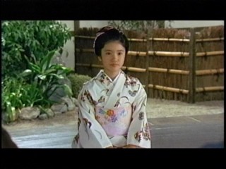 八州廻り 桑山十兵衛8、美山加恋