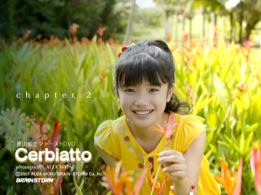 ファーストDVD『Cerbiatto』4、美山加恋