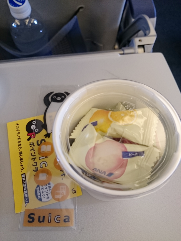 ANA機内メニュー Suica支払い 粗品