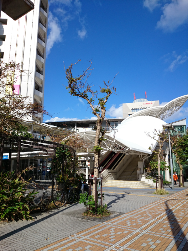 那覇 県庁前 風景 6