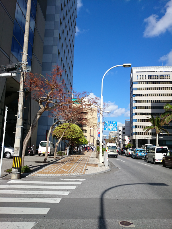 那覇 県庁前 風景 11