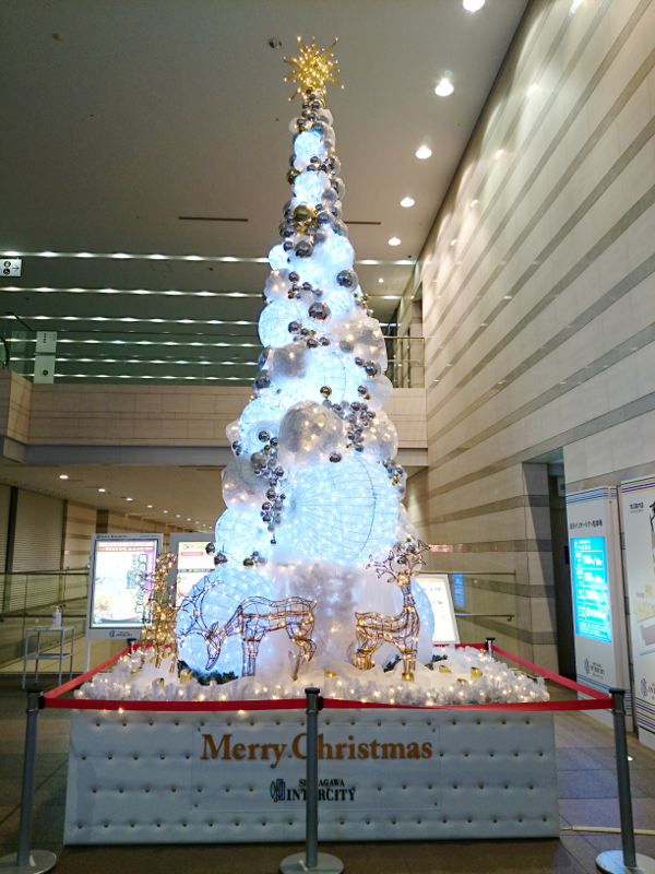 品川 インターシティ クリスマスツリー