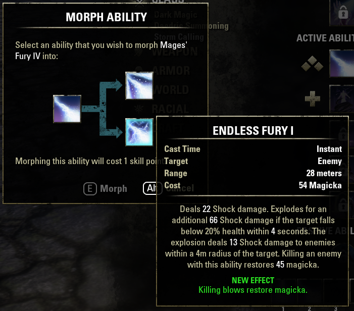 ENDLESS FURY